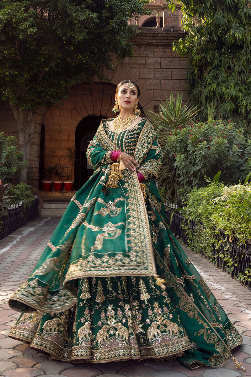 AFA - MNR - Nazneen - 025