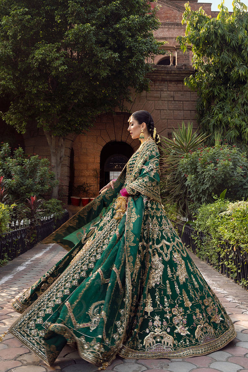 AFA - MNR - Nazneen - 025