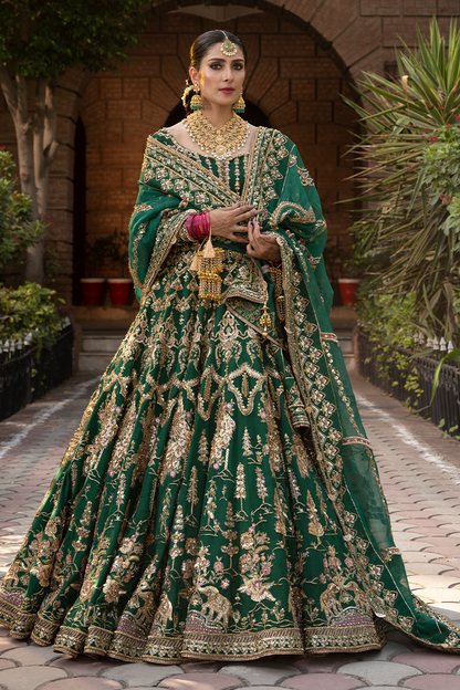 AFA - MNR - Nazneen - 025