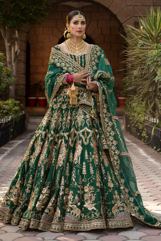 AFA - MNR - Nazneen - 025