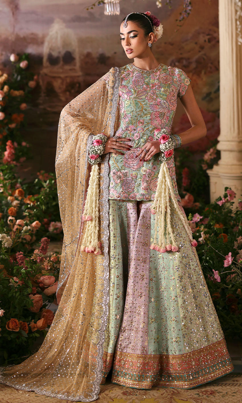 AFA - NOMI ANSARI - ROSEBUD - 216