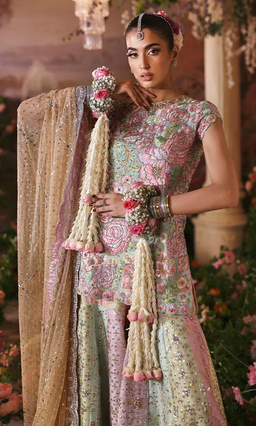 AFA - NOMI ANSARI - ROSEBUD - 216