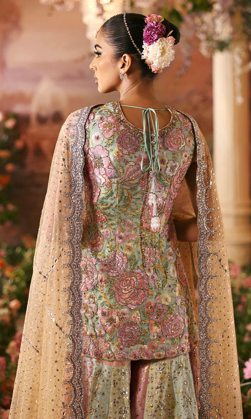 AFA - NOMI ANSARI - ROSEBUD - 216