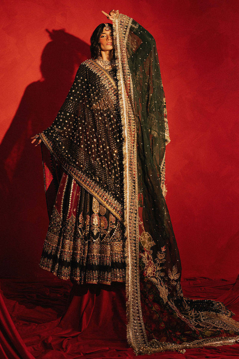 AFA - MNR - DIL RAAS - 79