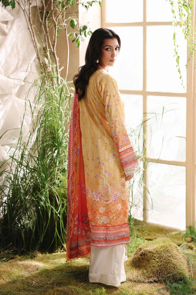 AFA - RAJ BARI - Silah Silk Edit - 03
