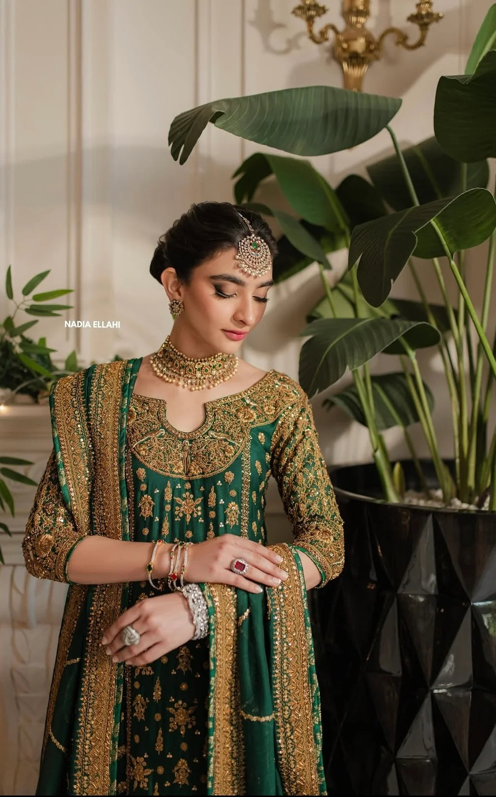 AFA - NADIA ELLAHI - Mehrunissa - 221
