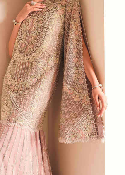 AFA - Crimson - Saira Shakira - Lush - 067