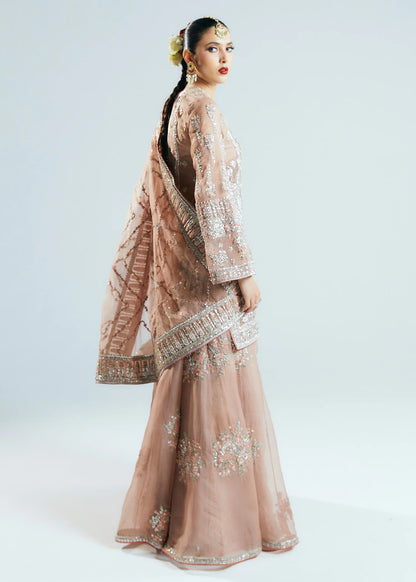 Hussain Rehar _ Elegant Peach