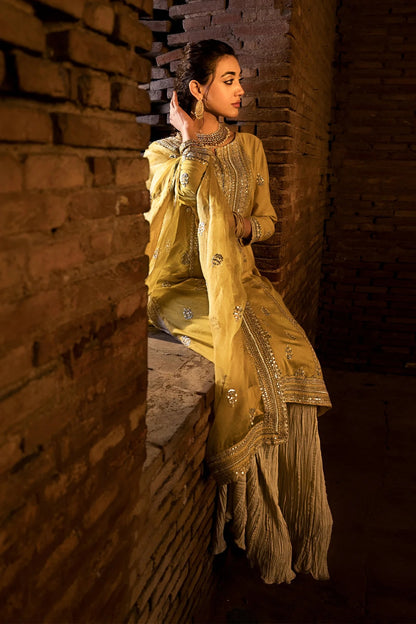 AFA - Erum Khan - Dil araa - 087