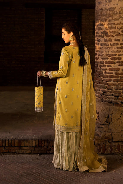 AFA - Erum Khan - Dil araa - 087